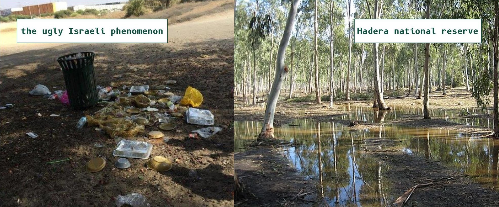 Inspirations: the ugly Israeli phenomenon, Hadera National Reserve