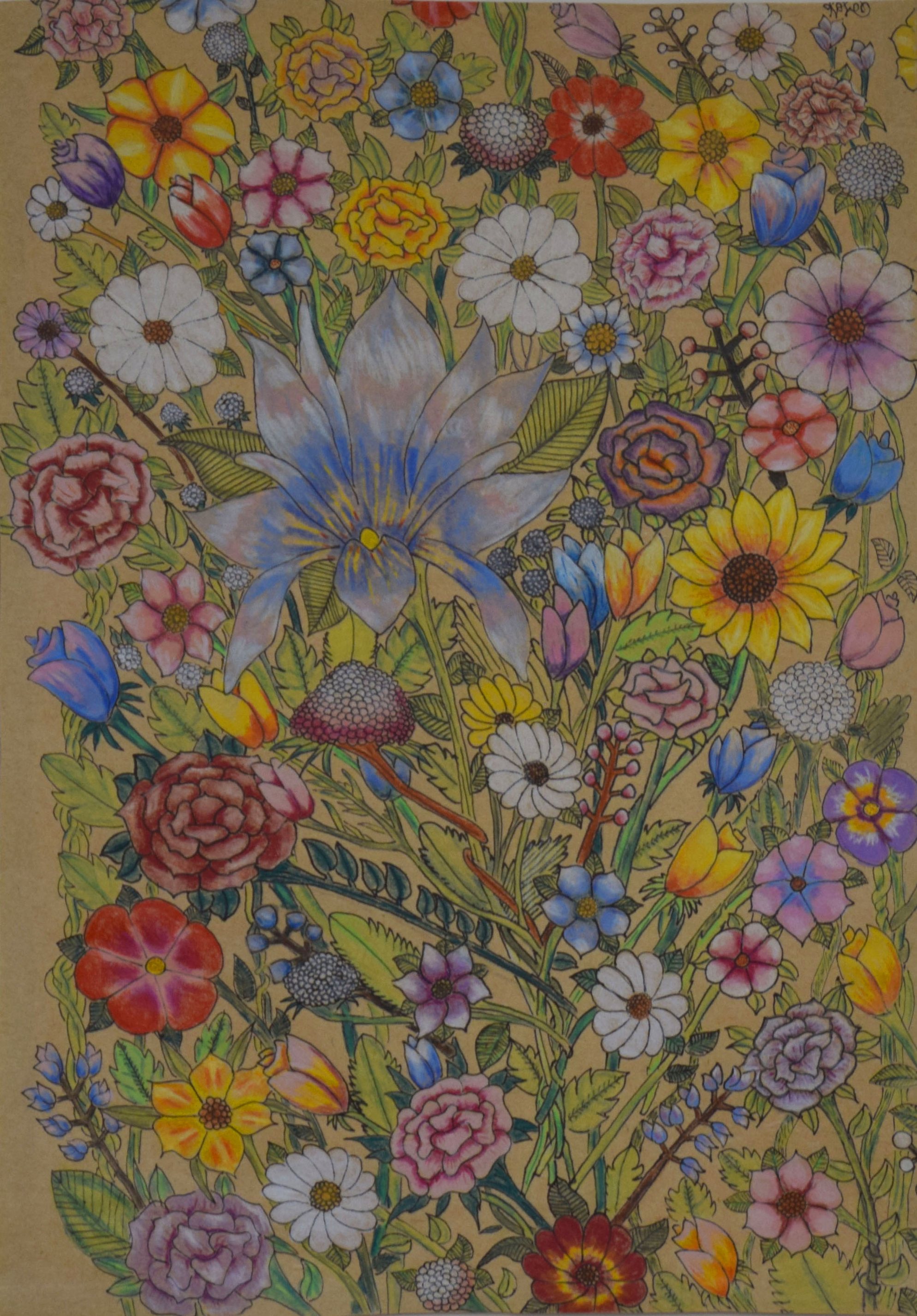 Floral drawing